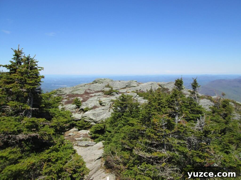 Top Outdoor Activities to Experience in Vermont 15 Camel's Hump Hike Northern Vermont