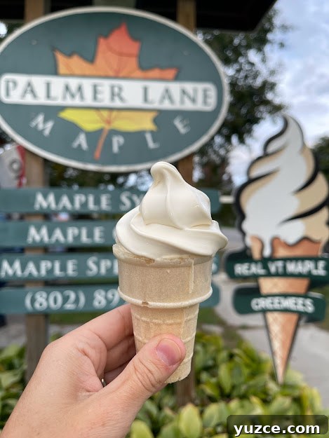 Top Outdoor Activities to Experience in Vermont 16 img 1314 15