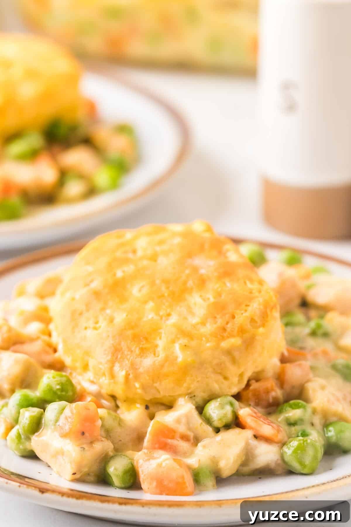 Chicken Pot Pie Casserole Topped with Golden Biscuits 11 Dinner plate of chicken pot pie casserole with a biscuit on top