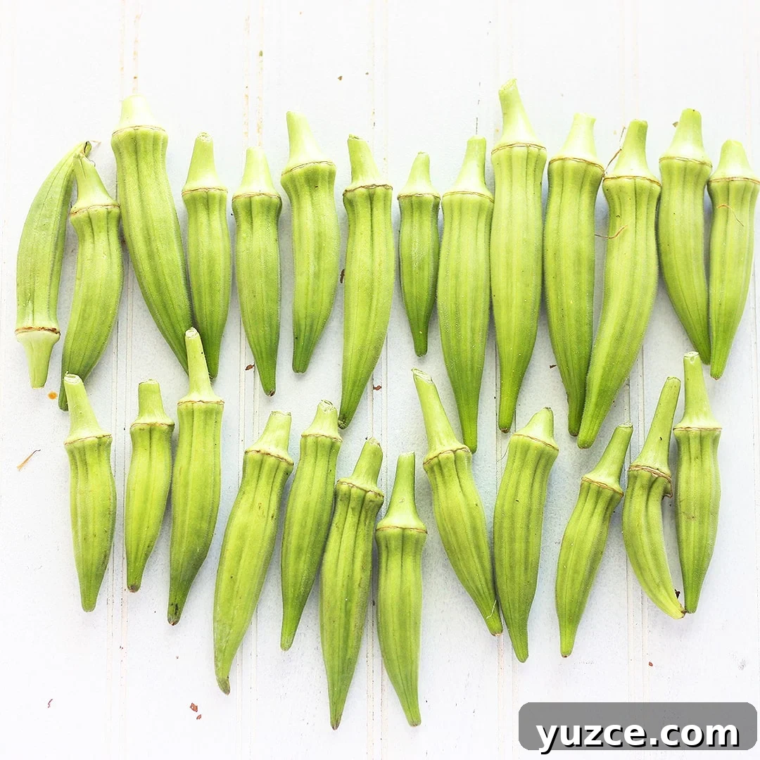 Tangy Spicy Pickled Okra Recipe for Bold Flavor 4 Fresh okra pods arranged in rows on a white background.