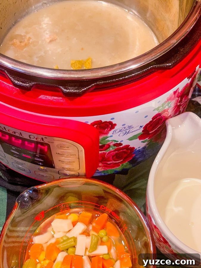 Southern Soul Food Chicken Pot Pie Recipe for Black Families 5 Southern Chicken Pot Pie Recipe In The Instant Pot