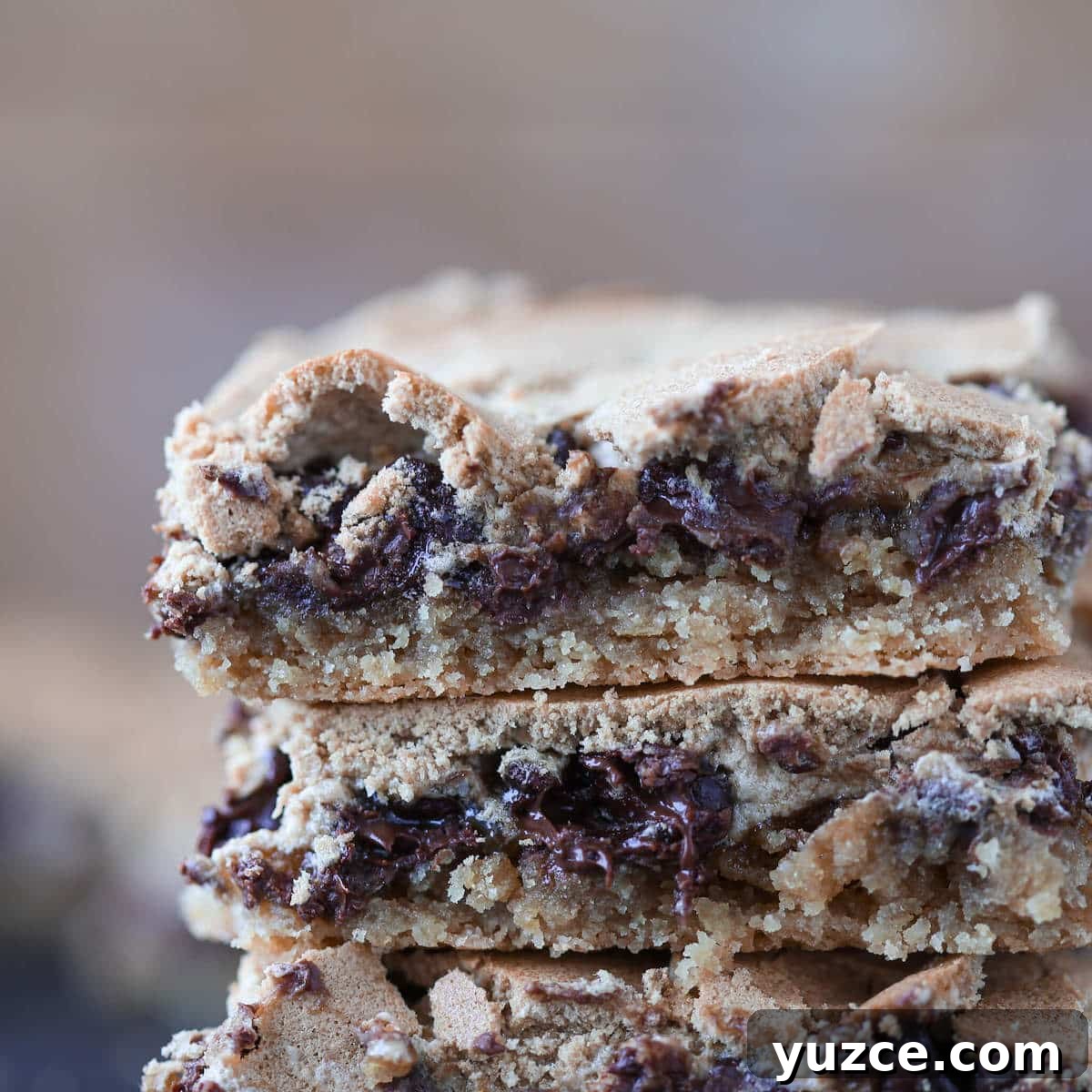 Chocolate Halfway Bars Recipe: Layered No-Bake Chocolate Treats 5 Chocolate Halfway Bars interior details