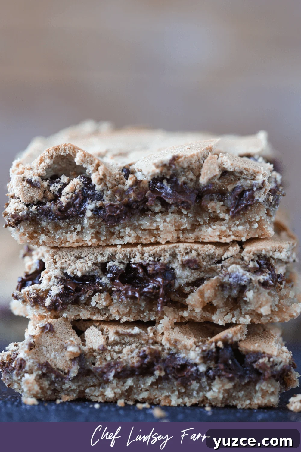 Chocolate Halfway Bars Recipe: Layered No-Bake Chocolate Treats 10 Chocolate Halfway Bars Purple Border