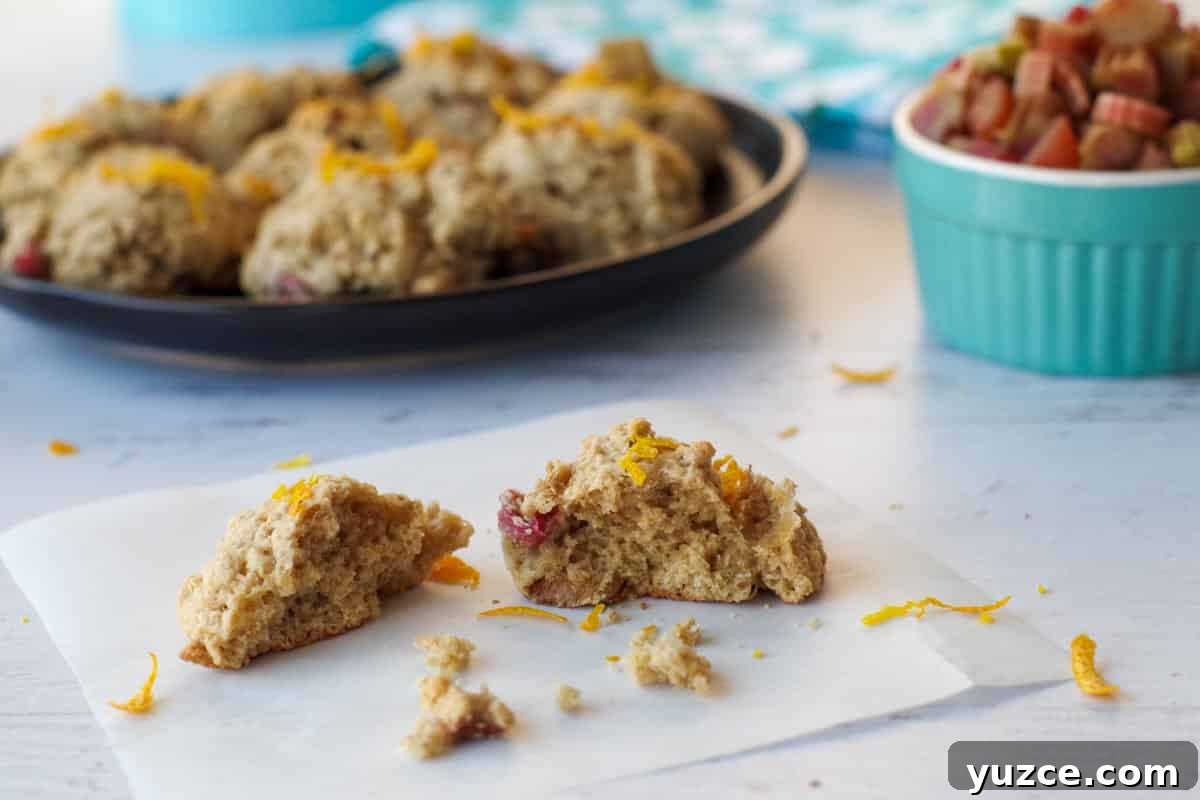 Brown Sugar Oatmeal Cookies with Tangy Rhubarb 16 rhubarb cookie broken in half on a piece of parchment with more cookies and rhubarb in the background