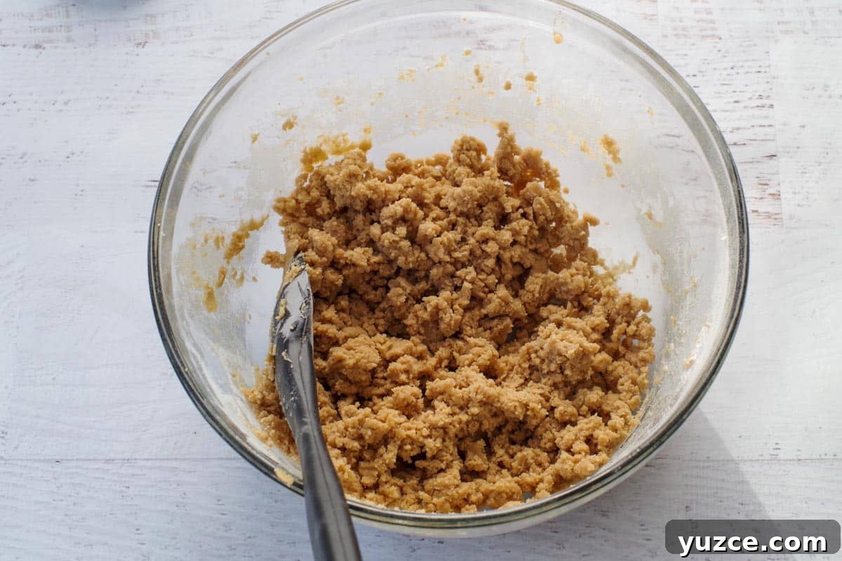 Brown Sugar Oatmeal Cookies with Tangy Rhubarb 8 dry ingredients mixed together with butter mixture