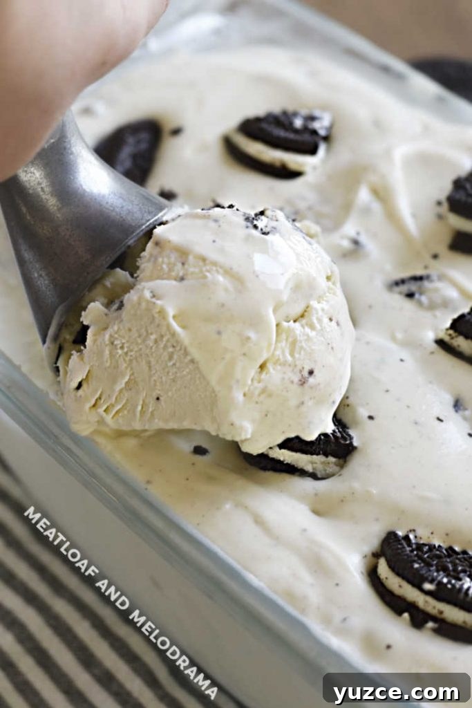 3-Ingredient Oreo Ice Cream Recipe You Can Make Tonight 7 ice cream scoop in oreo cookie ice cream