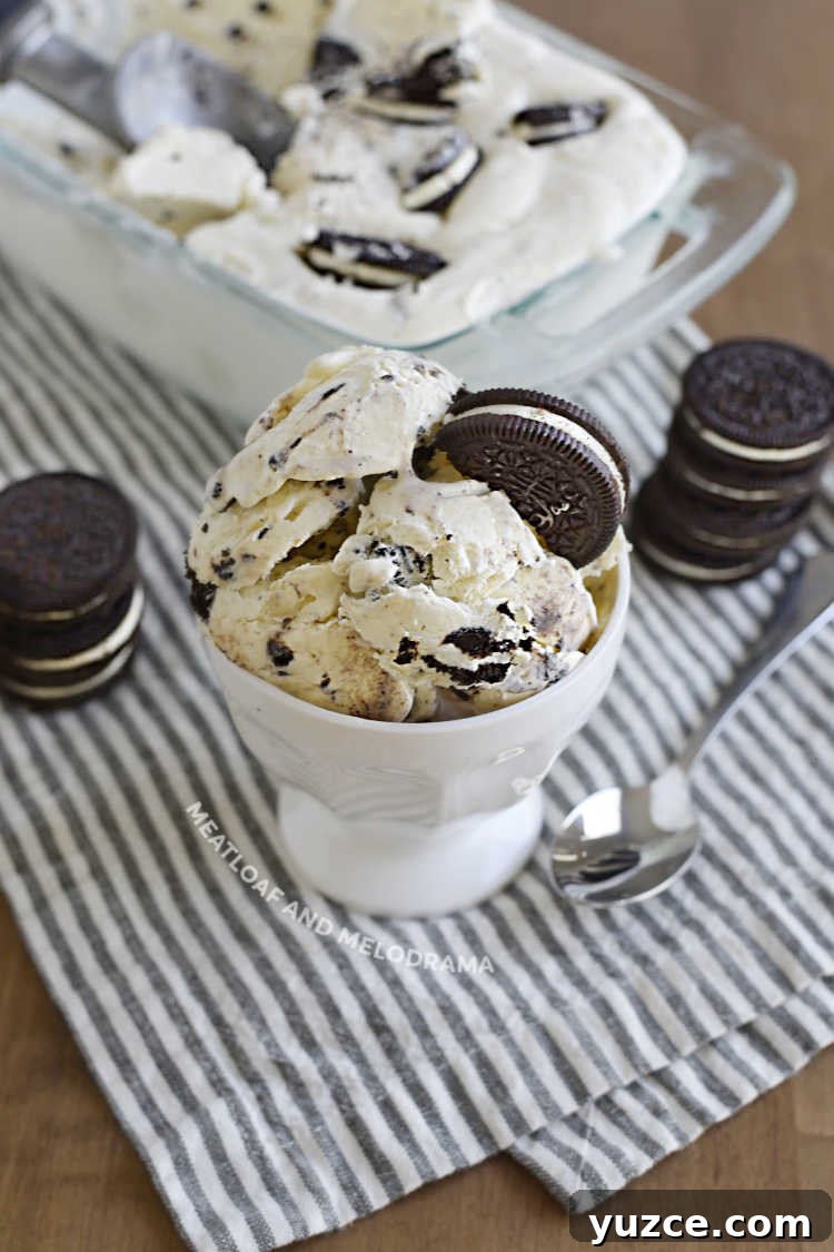 3-Ingredient Oreo Ice Cream Recipe You Can Make Tonight 8 bowl of homemade ice cream with chocolate sandwich cookies