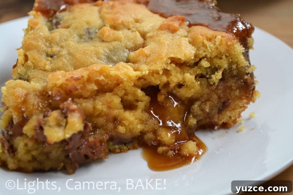 Salted Caramel Cookie Pie Recipe: Gooey, Crunchy Dessert Guide 13 Salted Caramel Cookie Pie. Soft, gooey, chocolate chip cookie, filled with melting salted caramel.