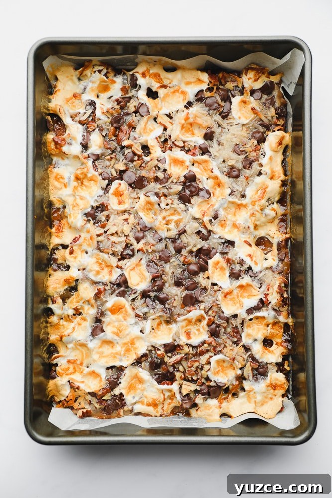 baked cookie bars topped with toasted marshmallows and chocolate in a metal baking pan.