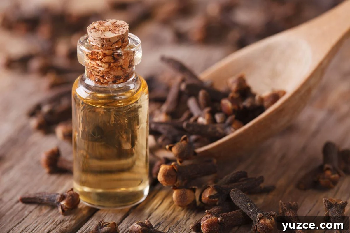 DIY Essential Oil Blend for Toothache Relief and Pain Care 5 Clove oil for toothache pain infection.