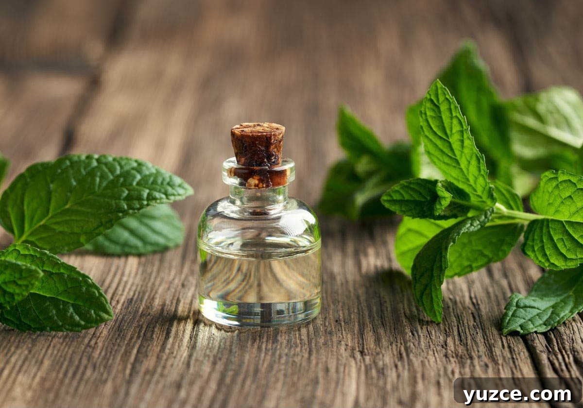 DIY Essential Oil Blend for Toothache Relief and Pain Care 7 Peppermint oil for tooth pain