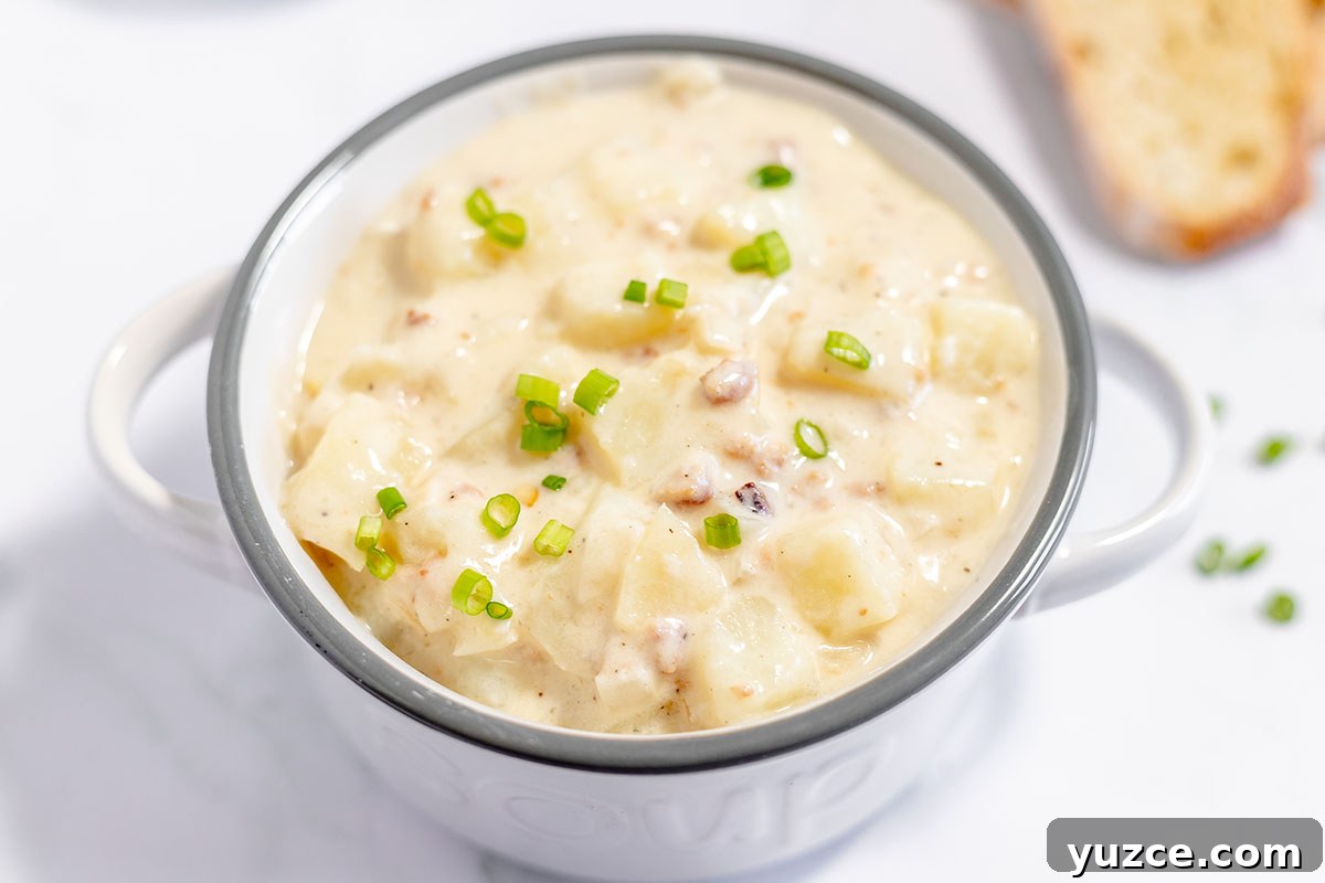 Creamy Loaded Baked Potato Soup Recipe 9 Baked potato soup is served in a soup bowl with handles.