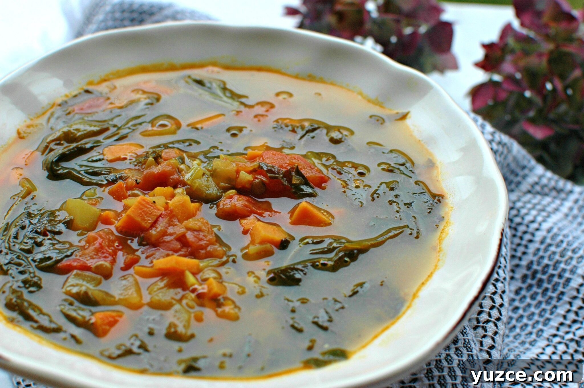 Moroccan Lentil Soup Recipe: Spiced Red Lentil Harira Bowl 6 Moroccan Lentil Soup