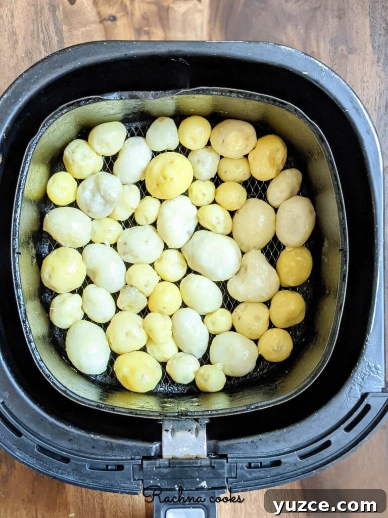 Authentic Dum Aloo Recipe: Kashmir-Style Potato Curry Guide 3 baby potatoes for air frying
