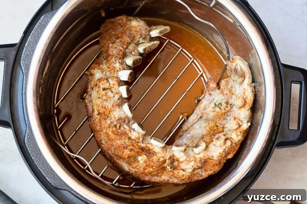 Pressure Cooker Pork Ribs Seasoned baby back ribs on trivet over apple juice after being pressure cooked inside instant pot.