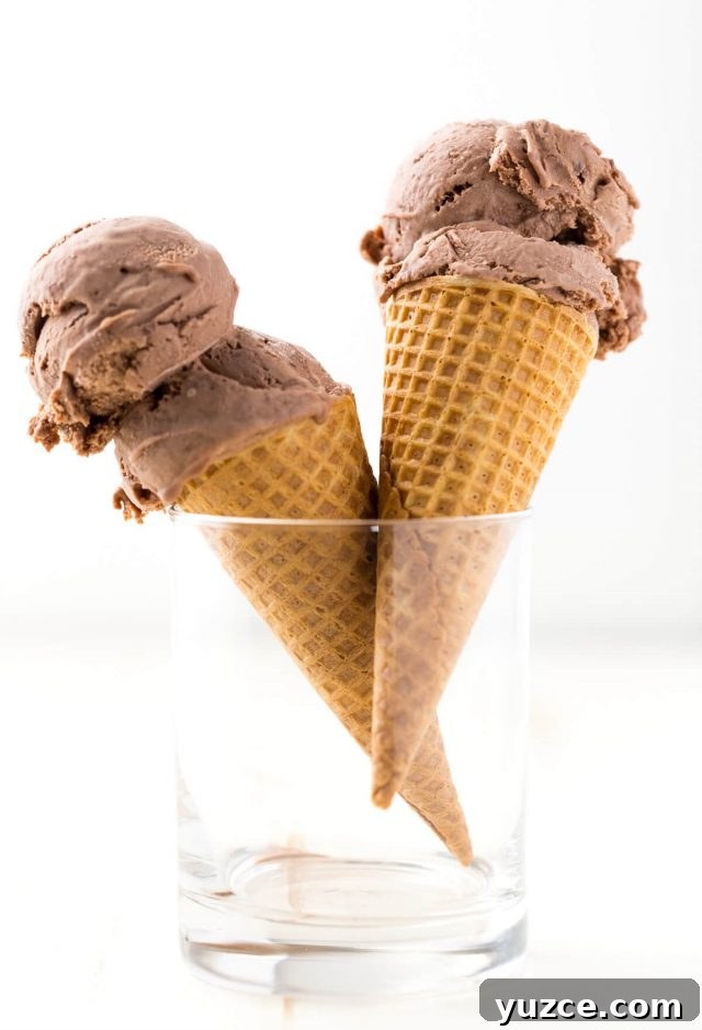 Nutella Peanut Butter Cup Ice Cream Recipe: Creamy No-Churn Delight 2 Nutella Peanut Butter Cup Ice Cream