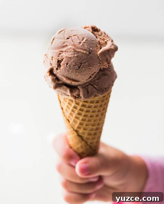 Nutella Peanut Butter Cup Ice Cream Recipe: Creamy No-Churn Delight 3 Nutella Peanut Butter Cup Ice Cream