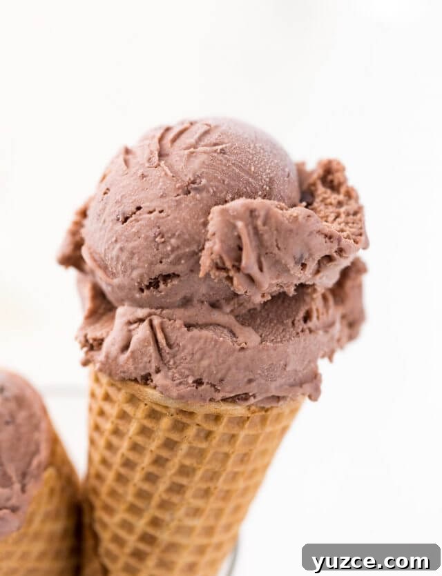 Nutella Peanut Butter Cup Ice Cream Recipe: Creamy No-Churn Delight 4 Nutella Peanut Butter Cup Ice Cream-2