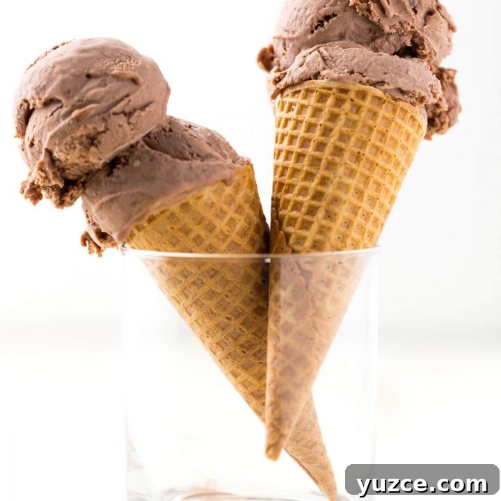 Nutella Peanut Butter Cup Ice Cream