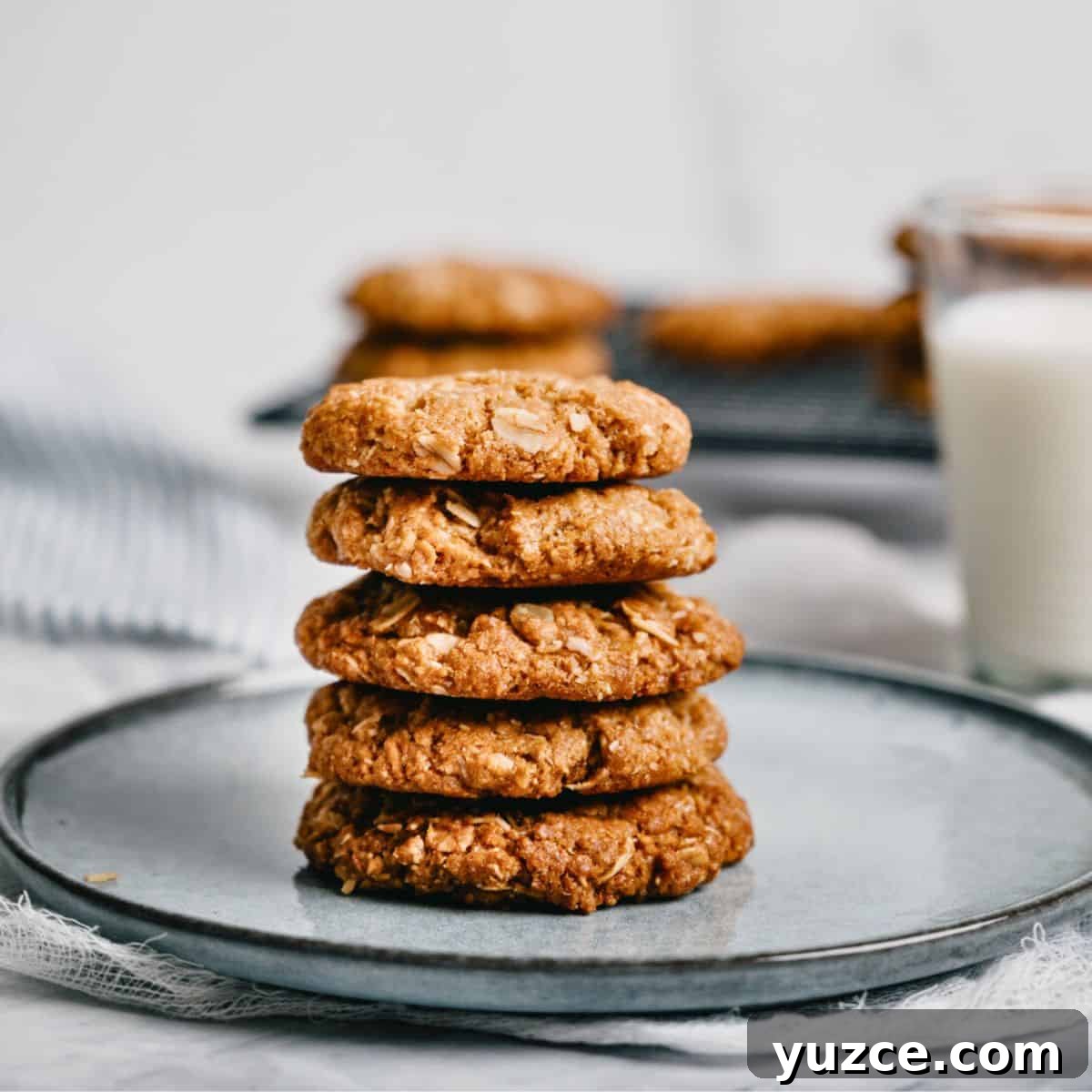 a stack of 5 Anzac biscuits on a grey plate.