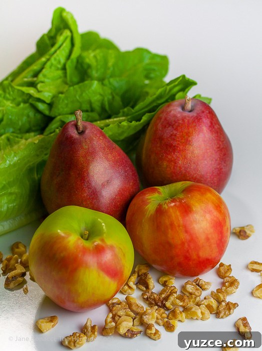 Pear and Apple Salad with Chocolate Vinaigrette — Gluten-Free Recipe 3 Beautiful red pears, apples, lettuce and walnuts, ready to be turned into a healthy and delicious salad!