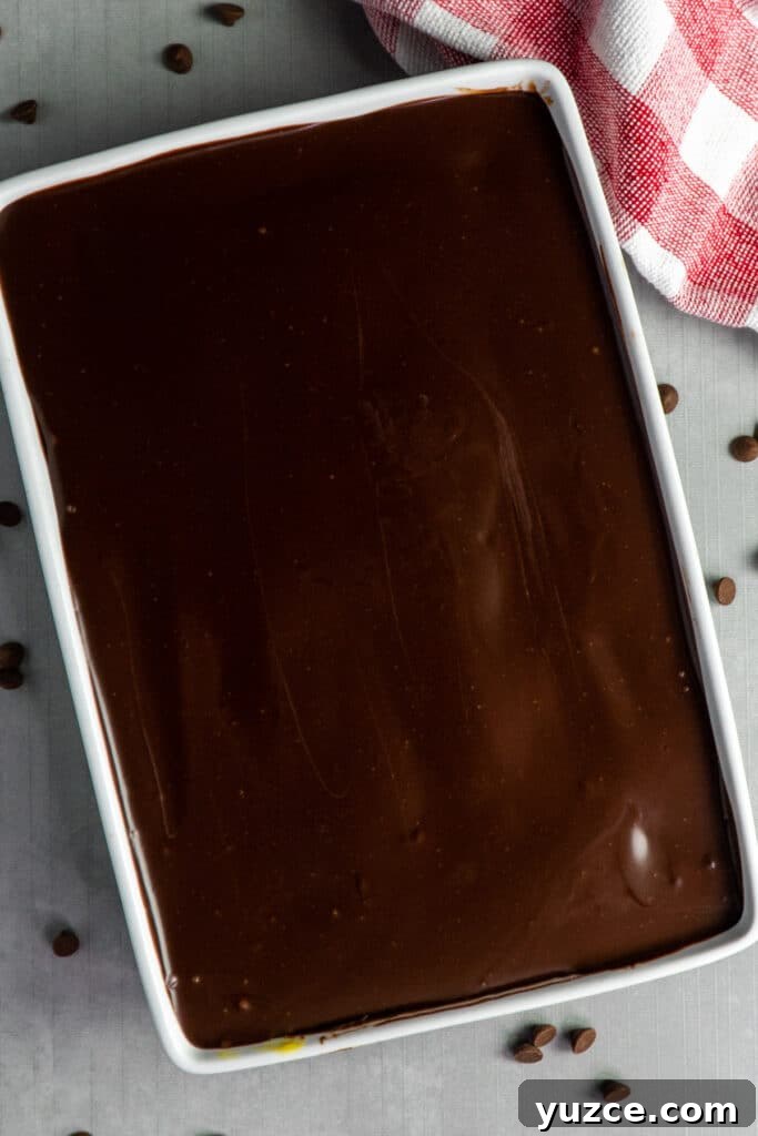 Boston Cream Pie Cake from a Box Mix — Quick Layered Dessert 4 Overhead look at a cake with chocolate frosting on top.