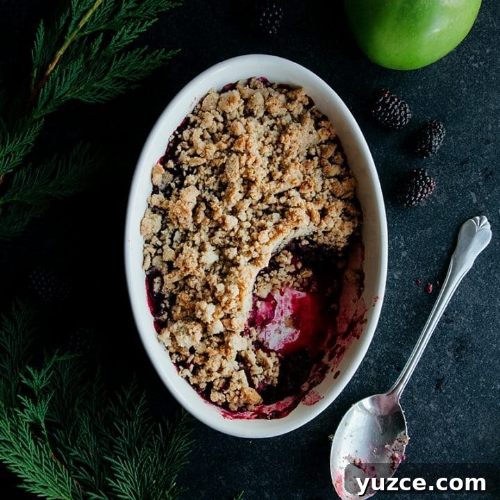 Blackberry, Apple & Gingerbread Crumble (Vegan + Paleo)