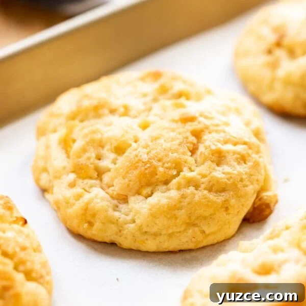 Peach drop biscuit sitting on piece of white parchment on baking sheet with wood surface in background