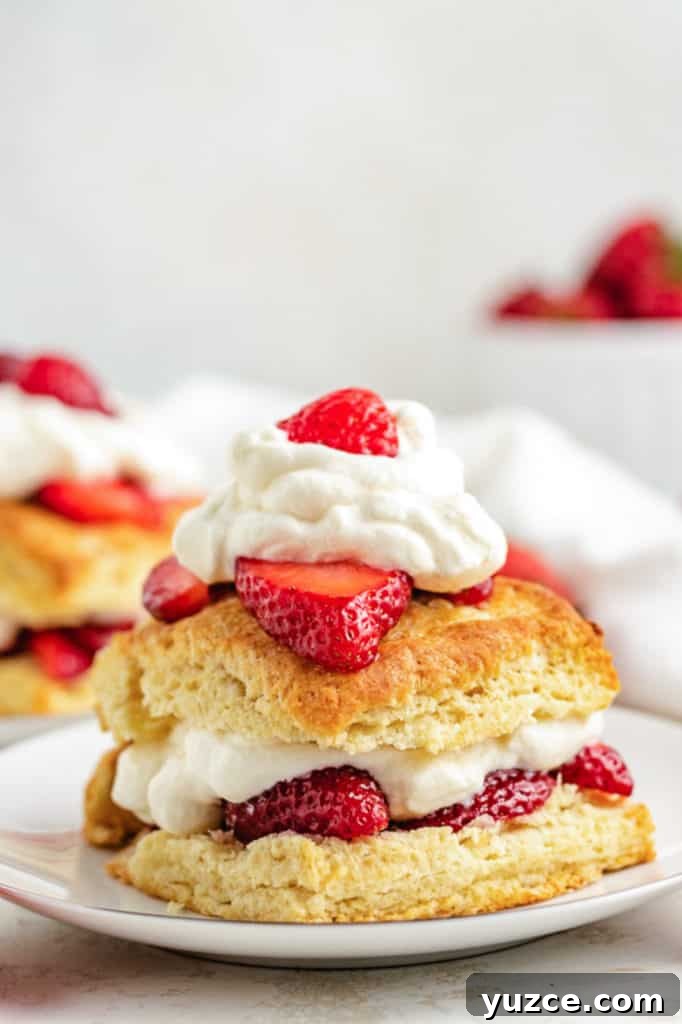 Classic Strawberry Shortcake Recipe with Fresh Strawberries and Cream 2 Close up view of strawberry shortcake on a plate.