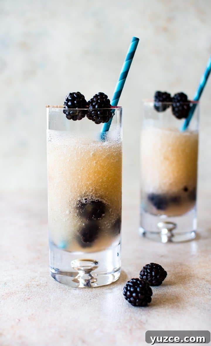 Blackberry Riesling Ice Pops — Frozen Riesling Popsicles 2 two clear glasses with blackberry frozen riesling and blue striped paper straws and garnished with blackberries