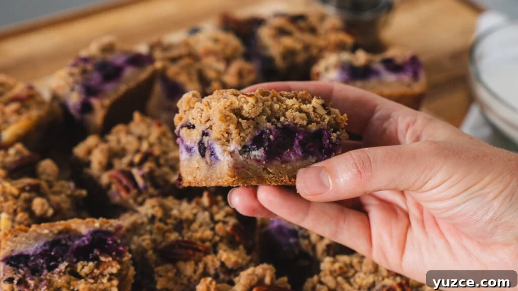Someone holding a blueberry cheesecake square.