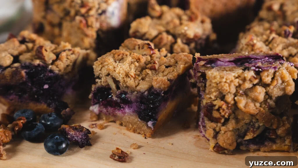 Blueberry cheesecake squares.
