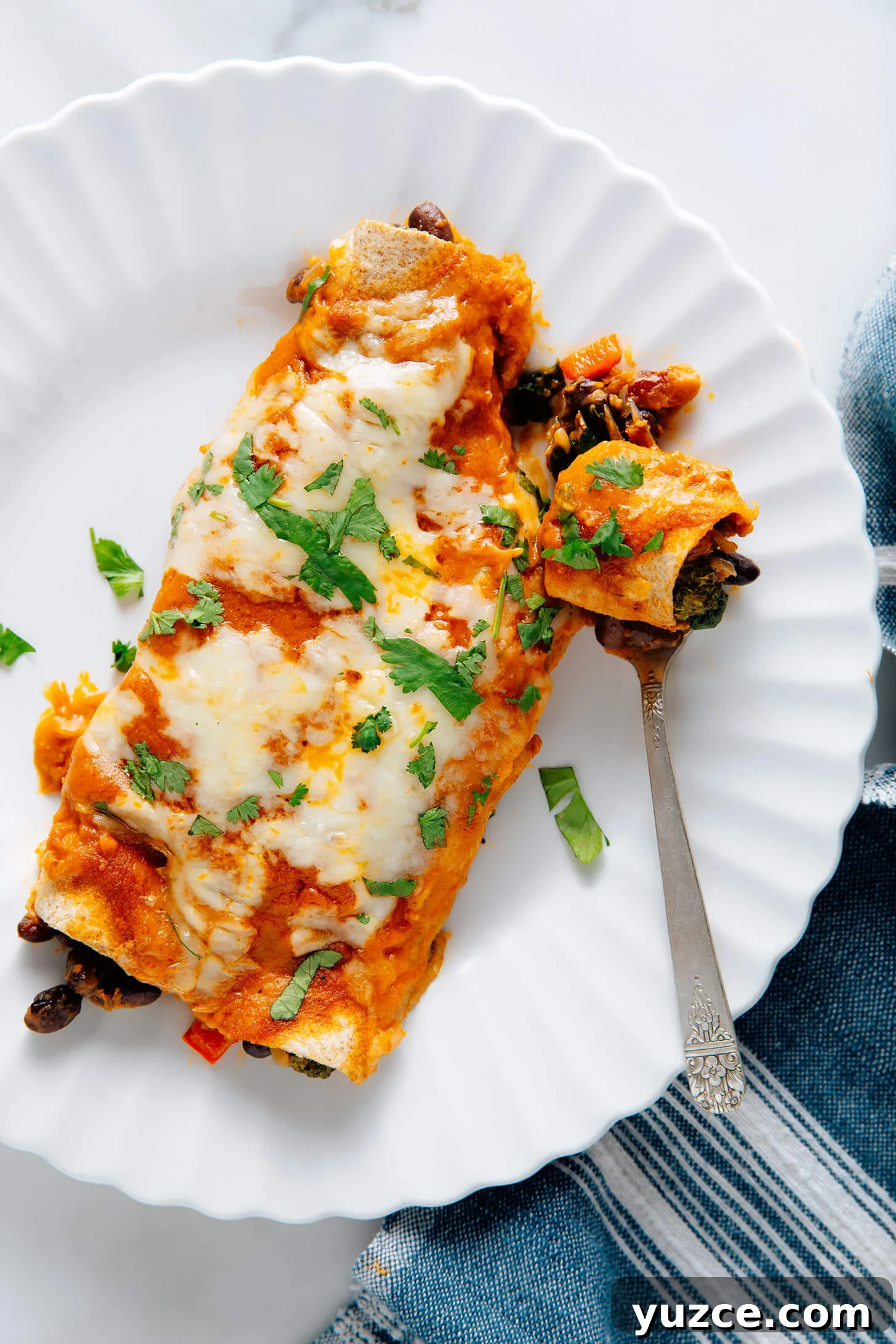 Black Bean and Vegetable Enchiladas with Roasted Salsa Verde 2 vegetarian enchiladas recipe