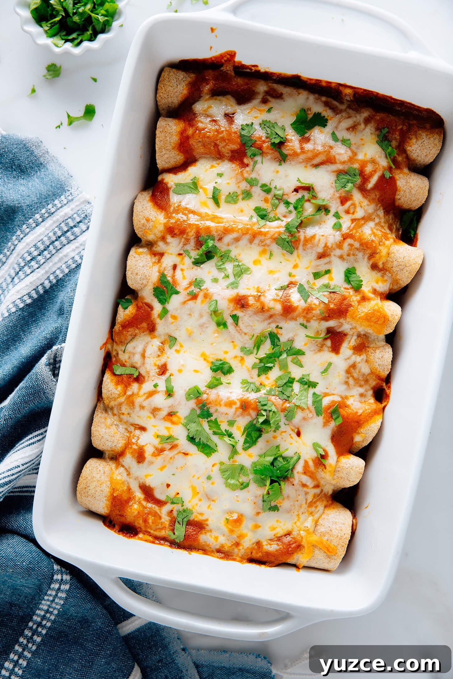 Black Bean and Vegetable Enchiladas with Roasted Salsa Verde 7 veggie black bean enchiladas
