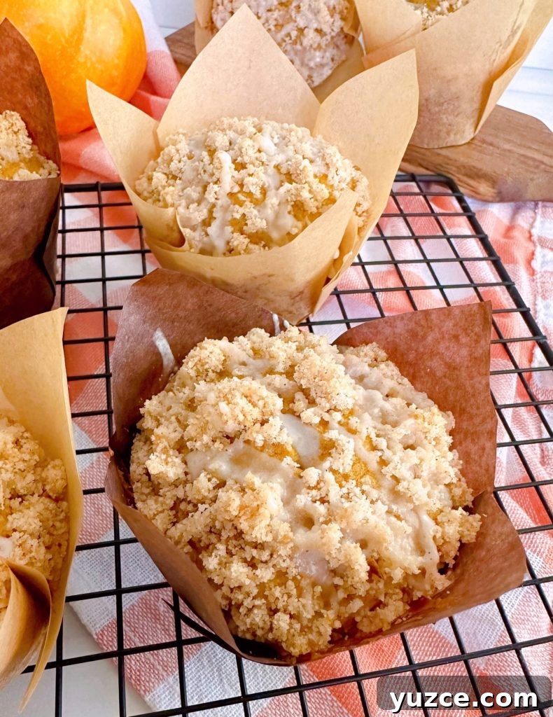 Pumpkin Streusel Muffins with Cinnamon Crumble 2 Pumpkin Streusel Muffins on a cooling rack.