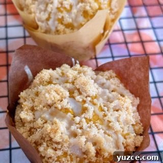 Pumpkin Streusel Muffins with Cinnamon Crumble 15 Glaze covered pumpkin streusel muffins.