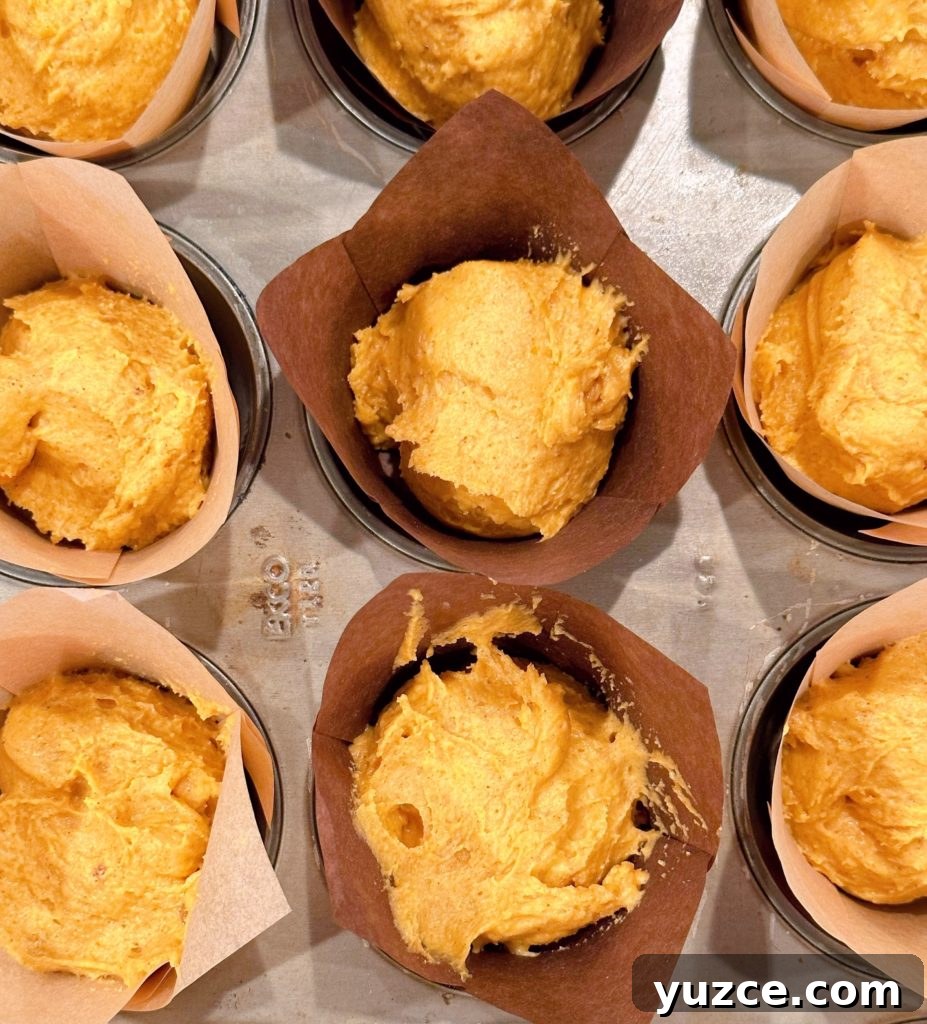 Pumpkin Streusel Muffins with Cinnamon Crumble 7 Filling the muffin tin with pumpkin batter.
