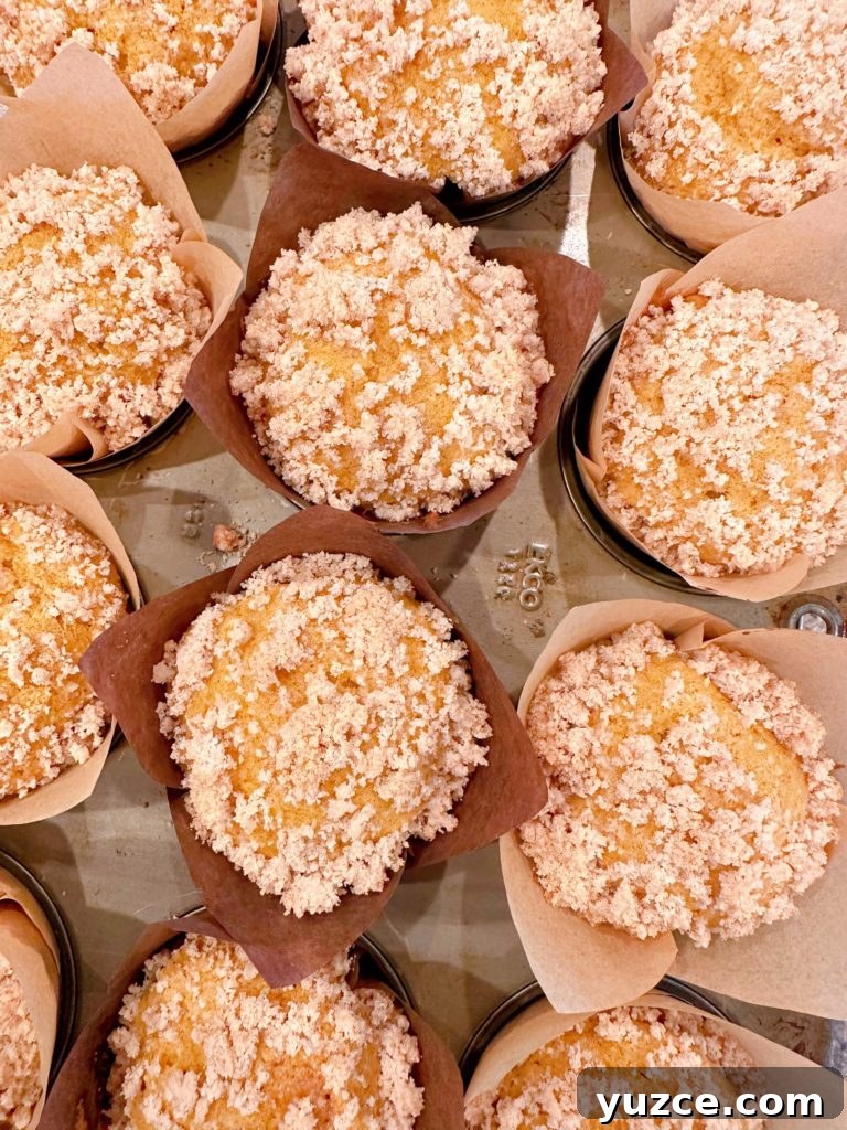 Pumpkin Streusel Muffins with Cinnamon Crumble 9 Baked pumpkin muffins on a cooling rack.