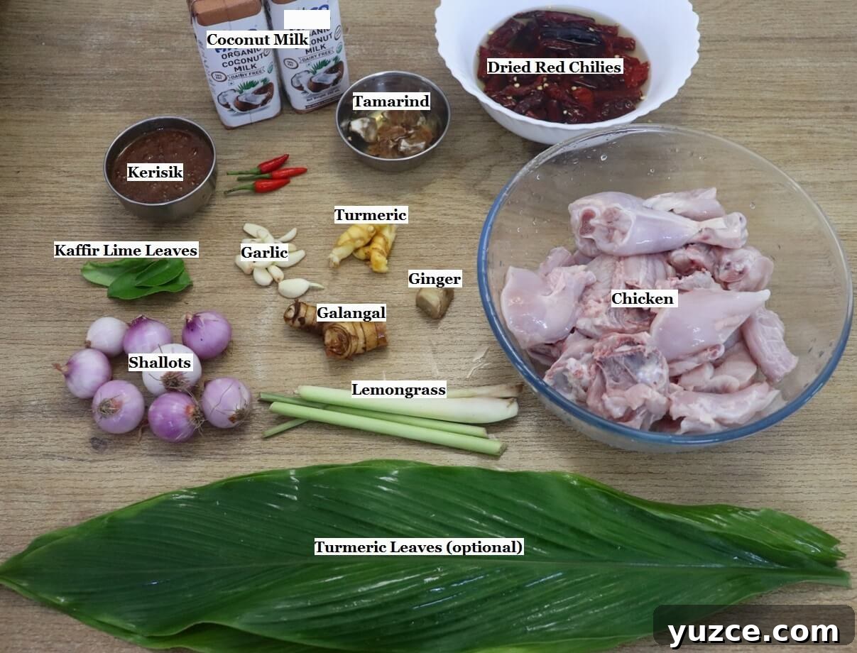 Authentic Indonesian Chicken Rendang Recipe — Rendang Ayam Made Right 3 individually labeled ingredients to make chicken rendang recipe are laid out on a table.