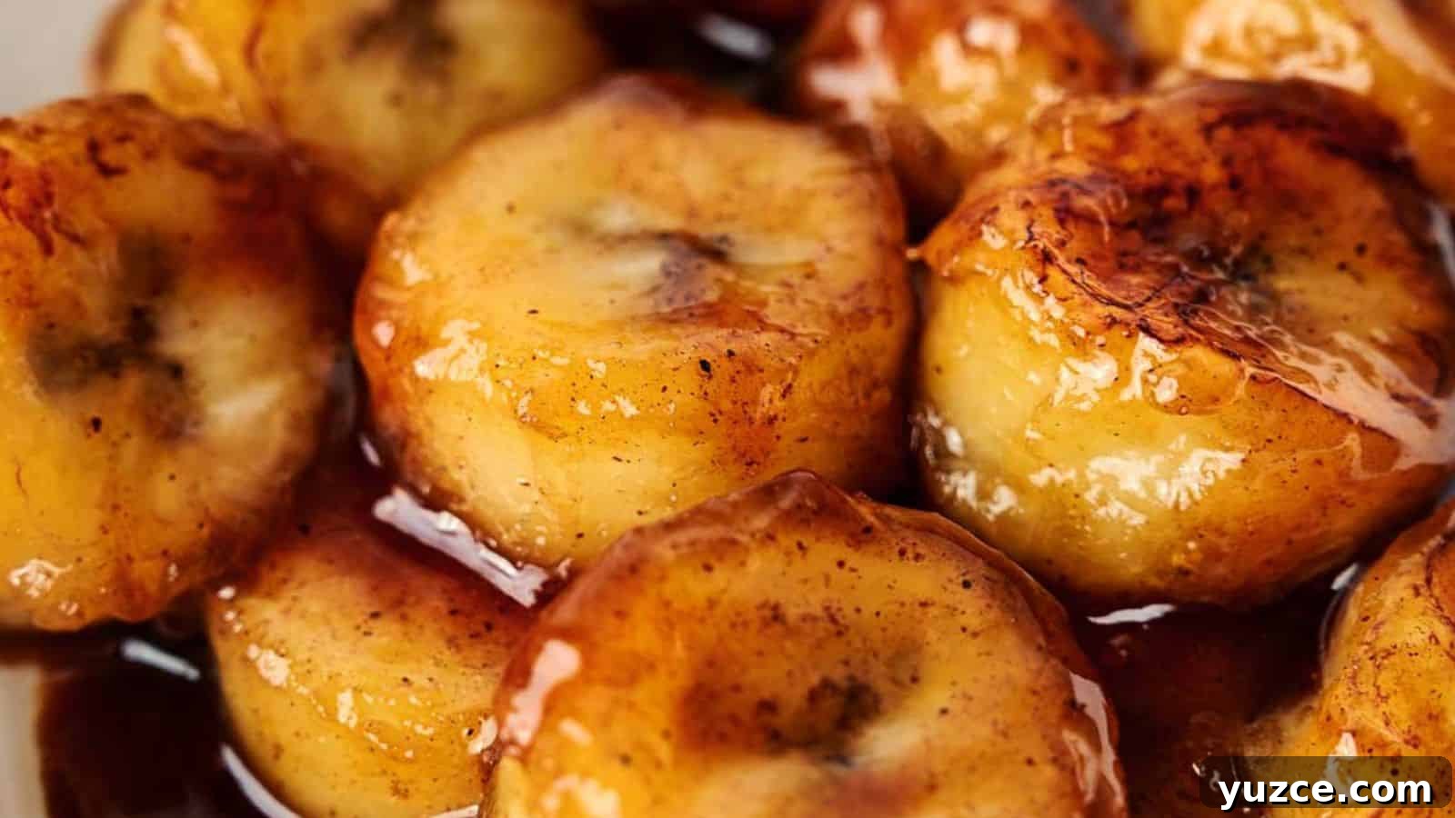 A close up of a plate of fried bananas with sauce.