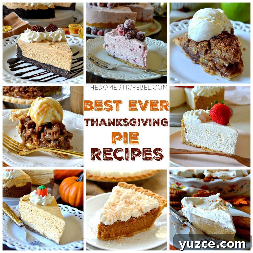 Top Thanksgiving Pie Recipes Everyone Will Love 2 img 21110 1