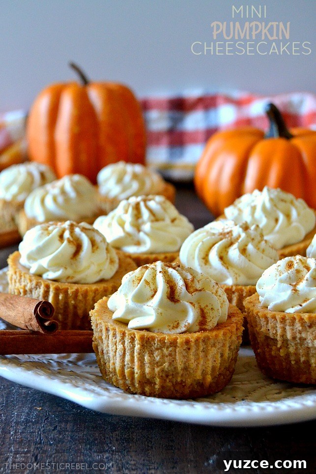 mini pumpkin cheesecakes on white plate with pumpkins and cinnamon sticks