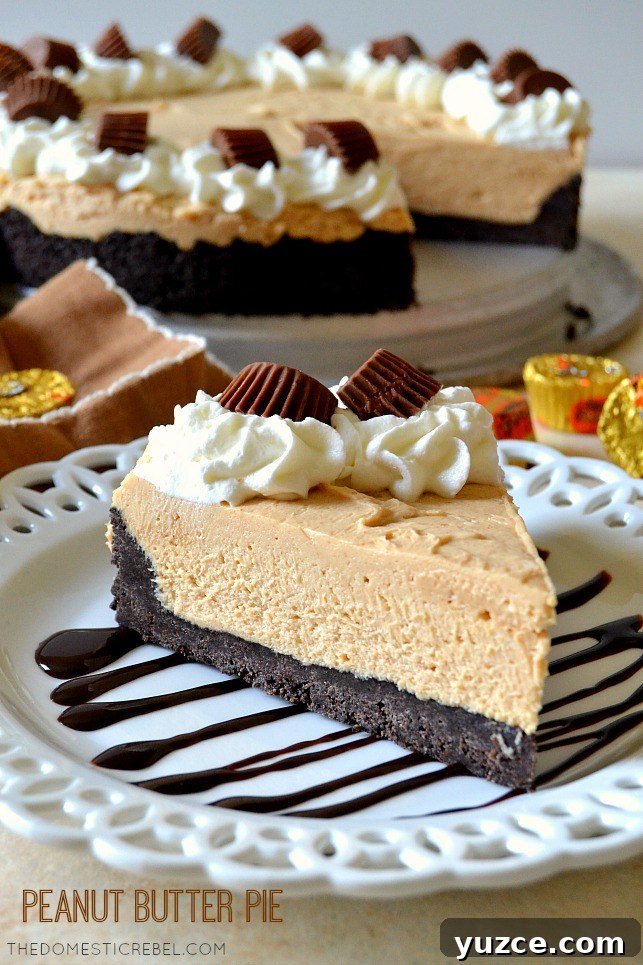 peanut butter pie slice on chocolate drizzled white plate