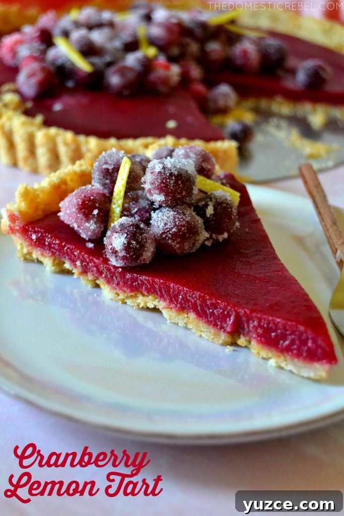 Slice of Cranberry Lemon Tart on a pink plate