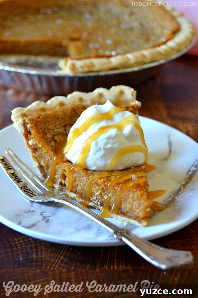 Top Thanksgiving Pie Recipes Everyone Will Love 8 photo of a slice of salted caramel pie on a white plate