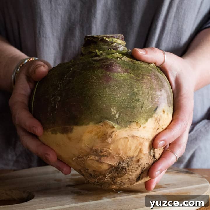 Authentic Cornish Pasty Recipe: Traditional Step-by-Step Guide 4 womans hands holding a huge swede