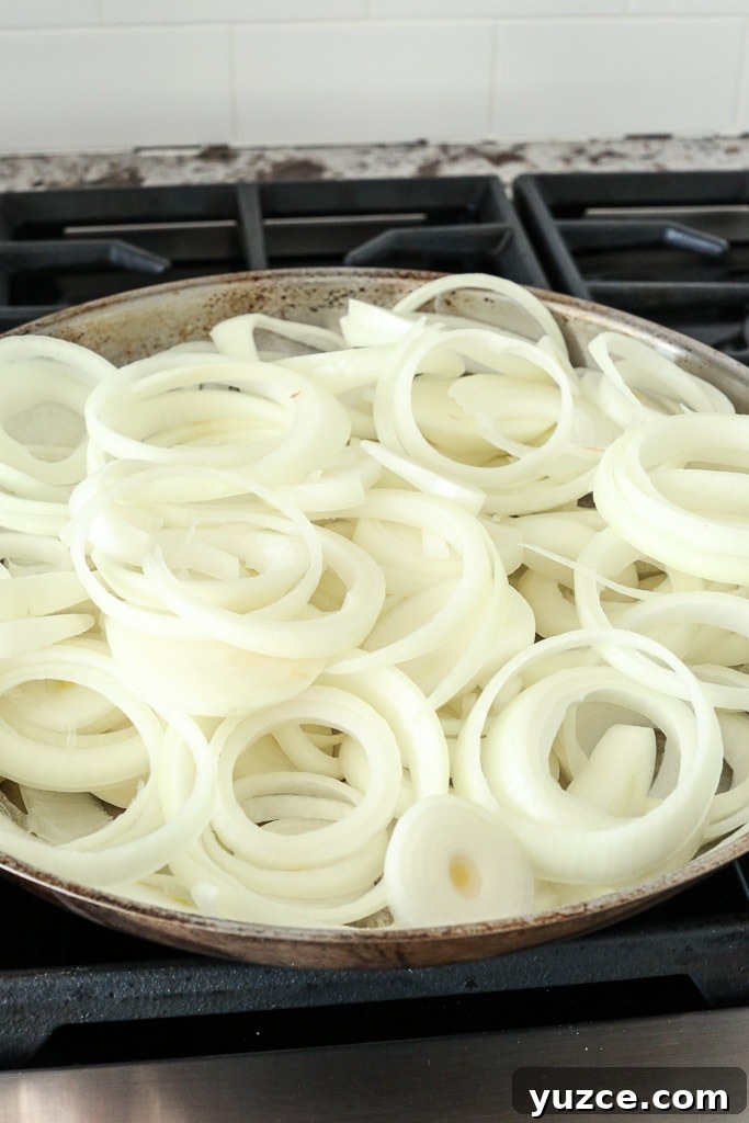 raw onions in a pan getting ready to cook
