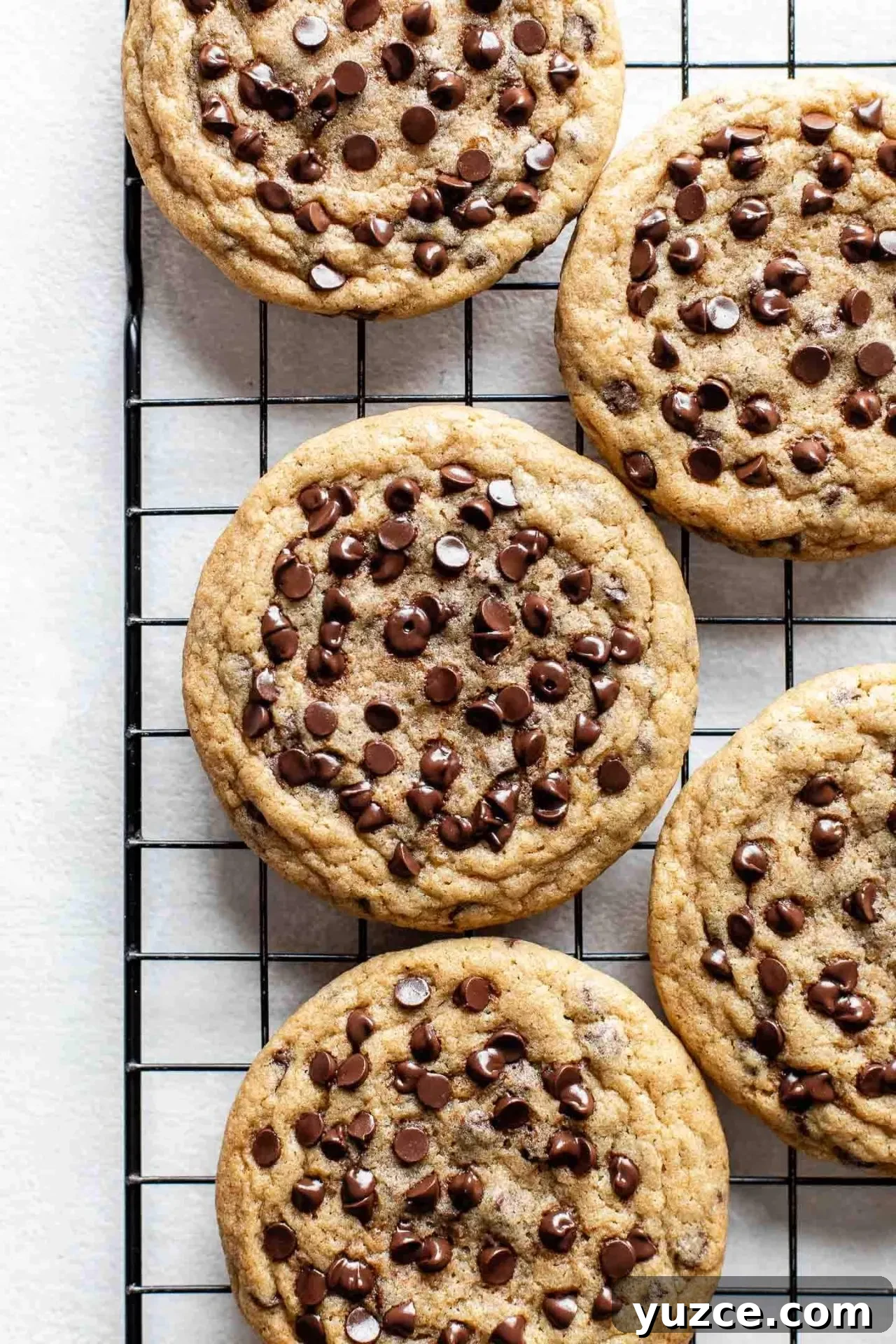 Chocolate Chip Ice Cream Sandwich Cookies Recipe for Homemade Treats 7 baked cookies on wire rack