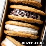 chocolate chip cookie ice cream sandwiches arranged in loaf pan
