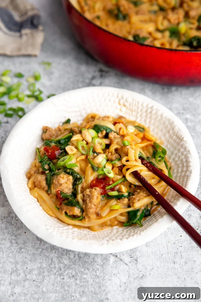Spicy Peanut Pork Noodles (Gluten-Free, Ready in Minutes) 2 img 21654 1